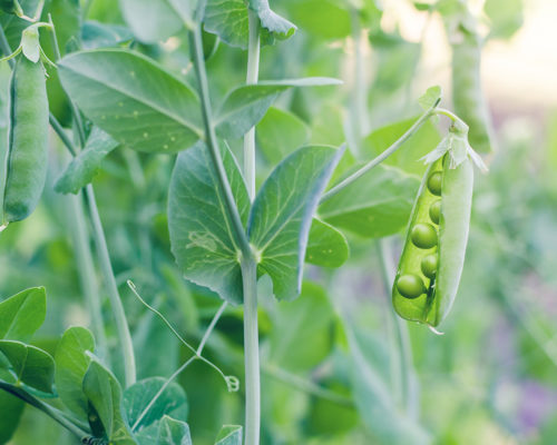 Wpis blogowy numer 3