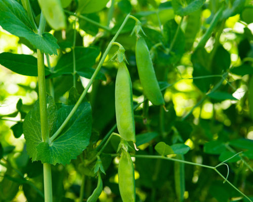 Wpis blogowy numer 1